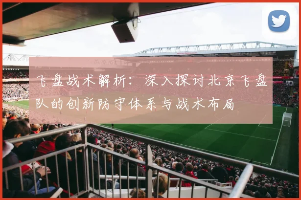 飞盘战术解析：深入探讨北京飞盘队的创新防守体系与战术布局