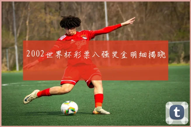 2002世界杯彩票八强奖金明细揭晓